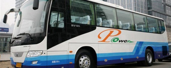 a1驾驶证能开什么车