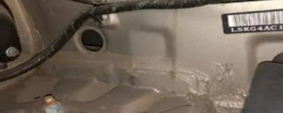 车内进老鼠怎么办