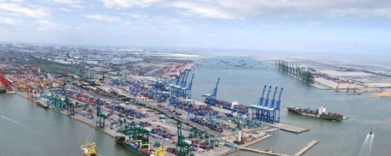 为什么都去天津港买车