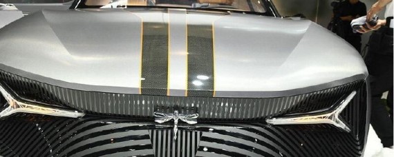 车标是蜻蜓的跑车